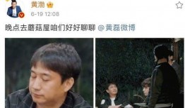黄渤爆料黄磊视频播放,视频播放引发网友热议
